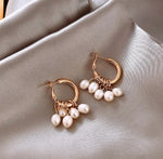 Dainty and Elegant Drop Earrings