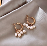 Dainty and Elegant Drop Earrings (Free Offer)