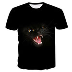 Cool Cats Tees