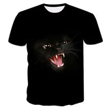 Cool Cats Tees