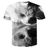 Cool Cats Tees