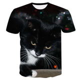 Cool Cats Tees