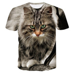 Cool Cats Tees