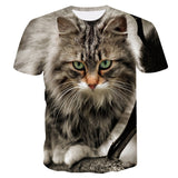 Cool Cats Tees