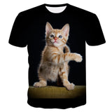 Cool Cats Tees