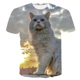 Cool Cats Tees
