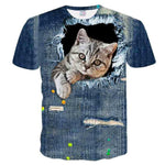 Cool Cats Tees